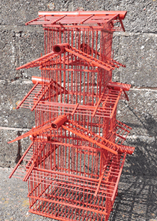 Bamboo Bird Cages Hire