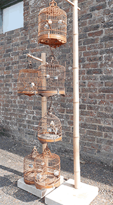 Bird Cages for Oriental Event Decoration