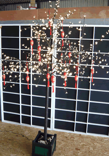 Floating Water Lillies Display