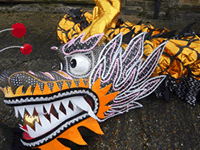 Dragon Costume Hire