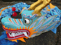 Dragon Costume Hire