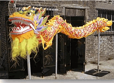Dragon Costume Hire