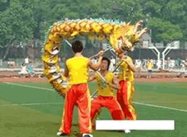 Dragon dance Costume