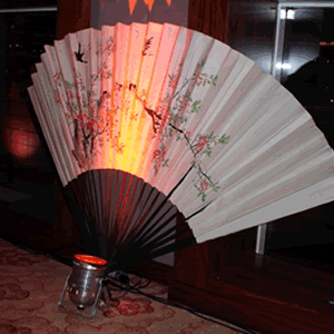 Giant Size Fans