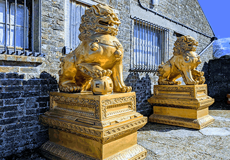 Chinese Foo Dogs Lion Hire in UK