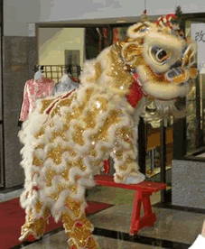 Lion Dance Costume Hire