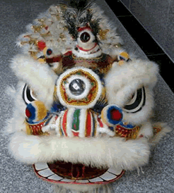 Lion Dance Costume Hire