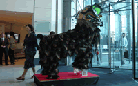 Lion Dance Display Costume