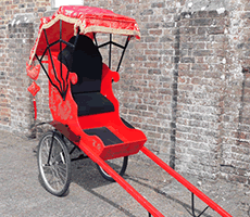 Pantomime Rickshaw Hire