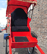 Pantomime Rickshaw Hire