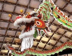 Hanging 60ft Chinese Dragon Hire
