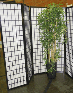 Shoji screen Hire